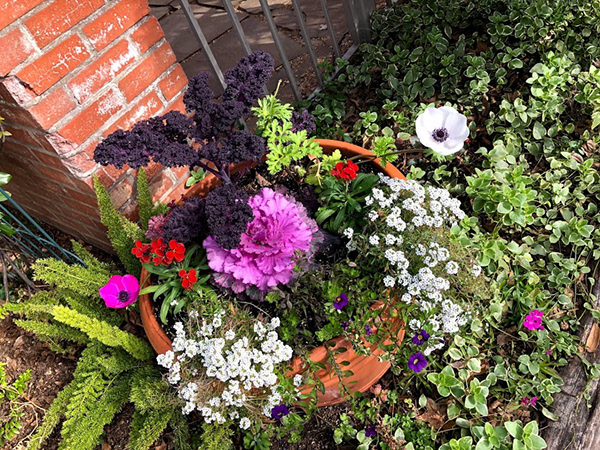 Flower Arrangements-4