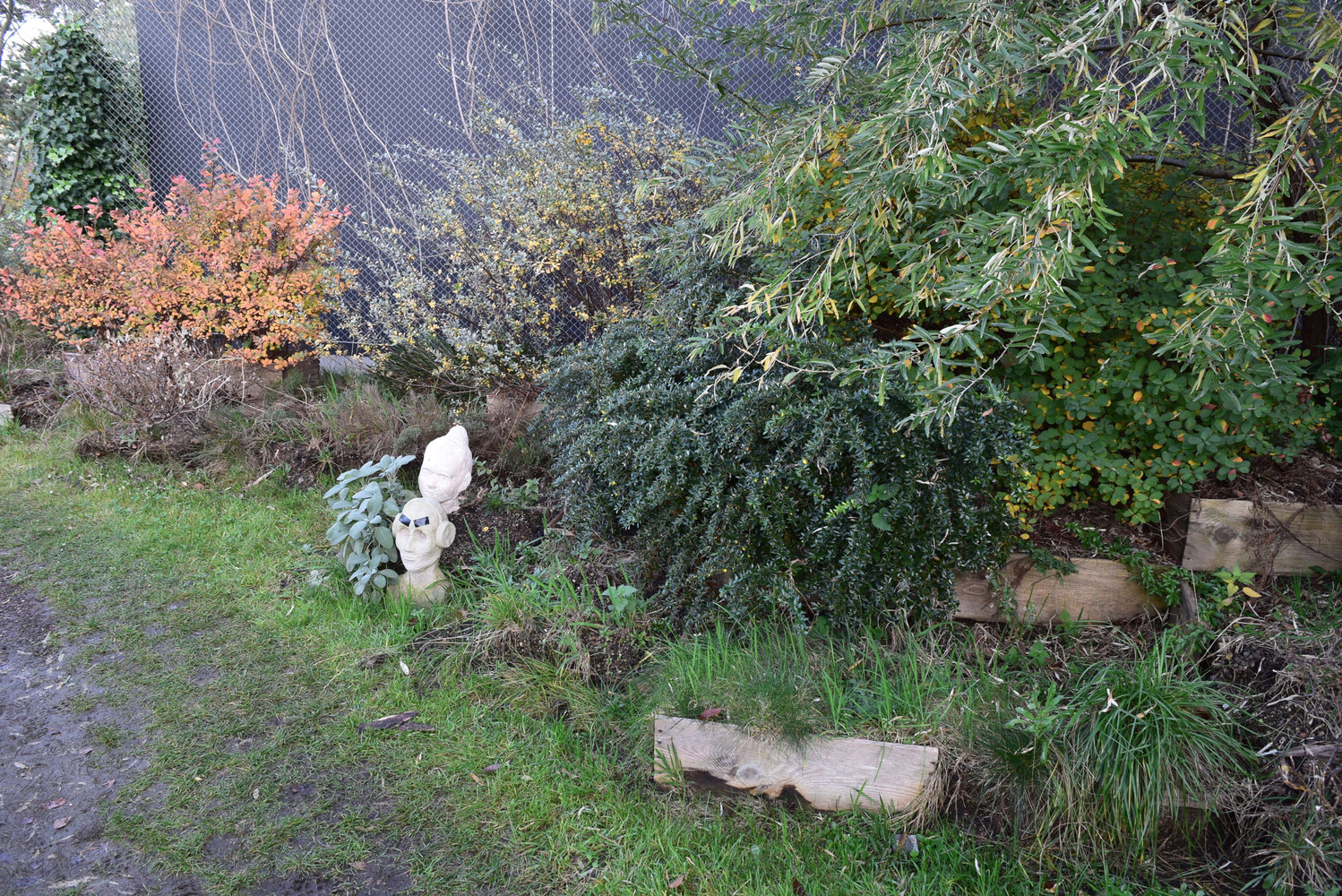 苏黎世艺术大学屋顶花园-42