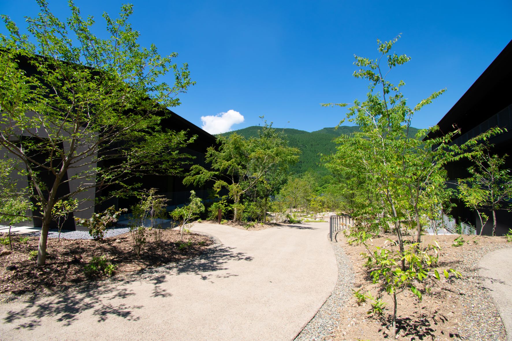 界·由布院丨日本丨隈研吾建筑都市设计事务所(kkaa)-134