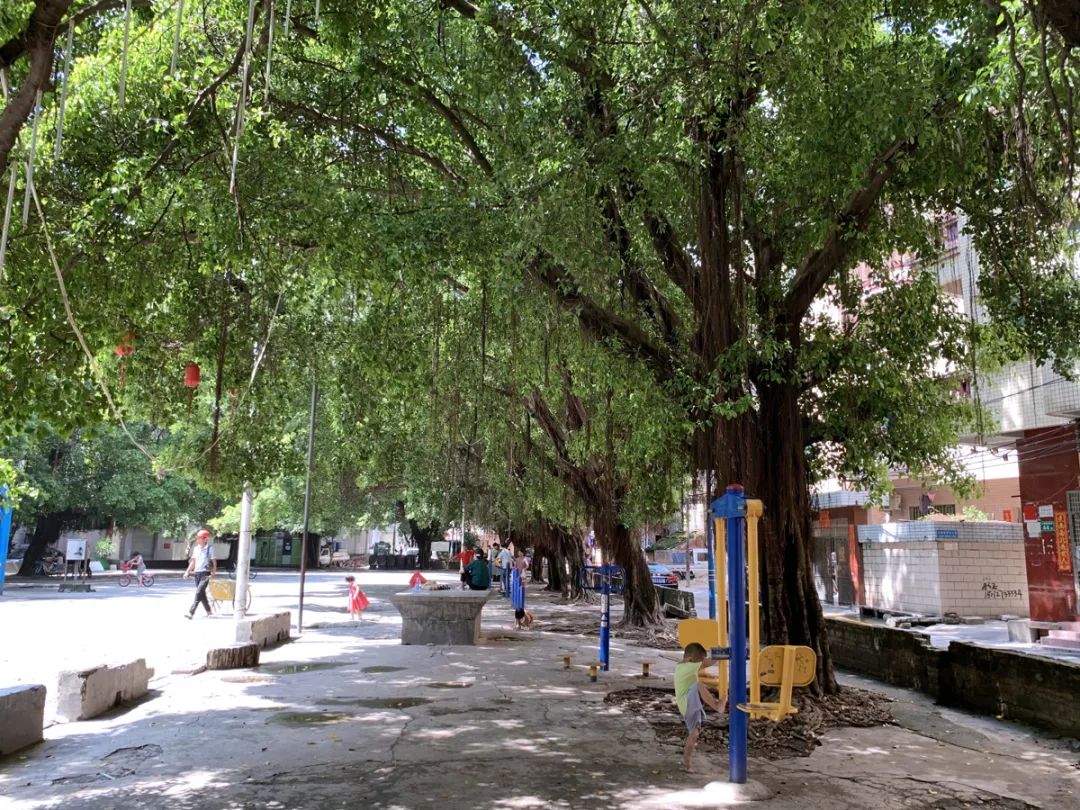 大朗党群文化广场及周边整治工程丨中国广州丨东大(深圳)设计有限公司-8