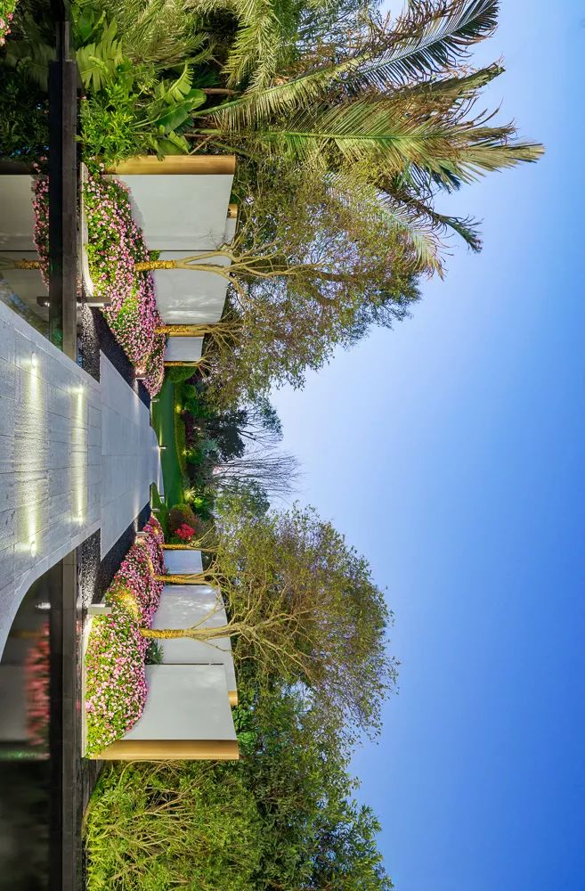 自然的魅力与艺术 | 广州龙湖 · 双珑原著-32