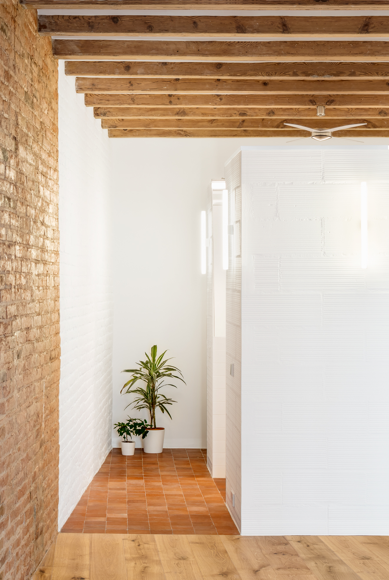 巴塞罗那百年建筑翻新公寓设计丨西班牙巴塞罗那-17