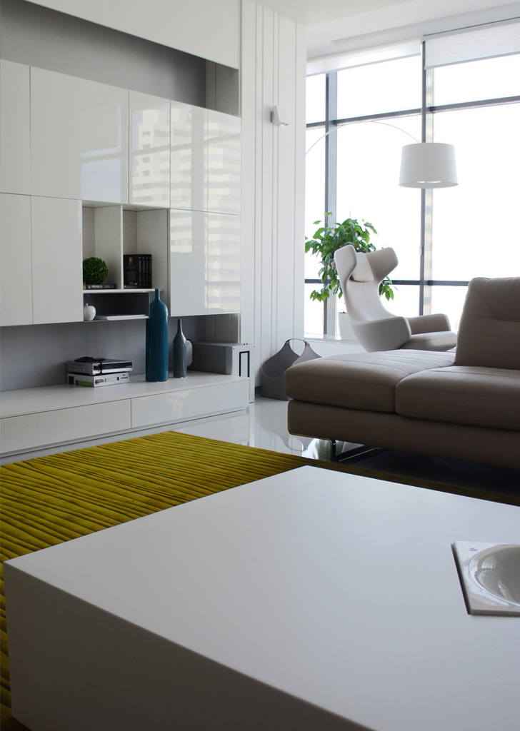 乌克兰单色家居,白色基调与自然元素完美融合-14