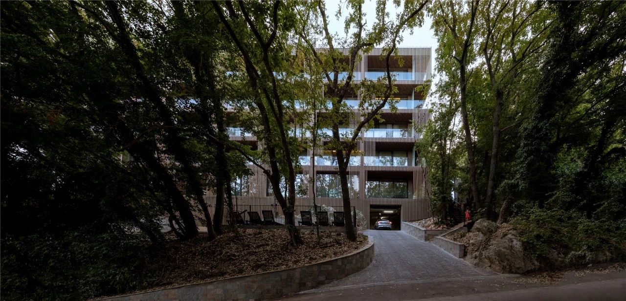 竹中诊所 - 温暖透明丨日本丨TSC Architects-80