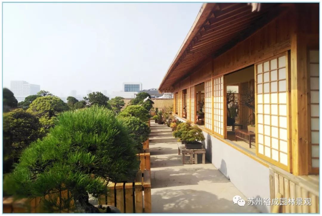 禅意屋顶花园,品茗抚琴如诗如画-4