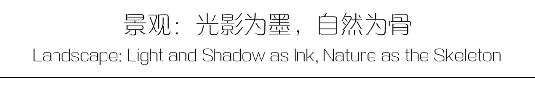 一席光影，半卷山水：空间内外的静谧美学-7