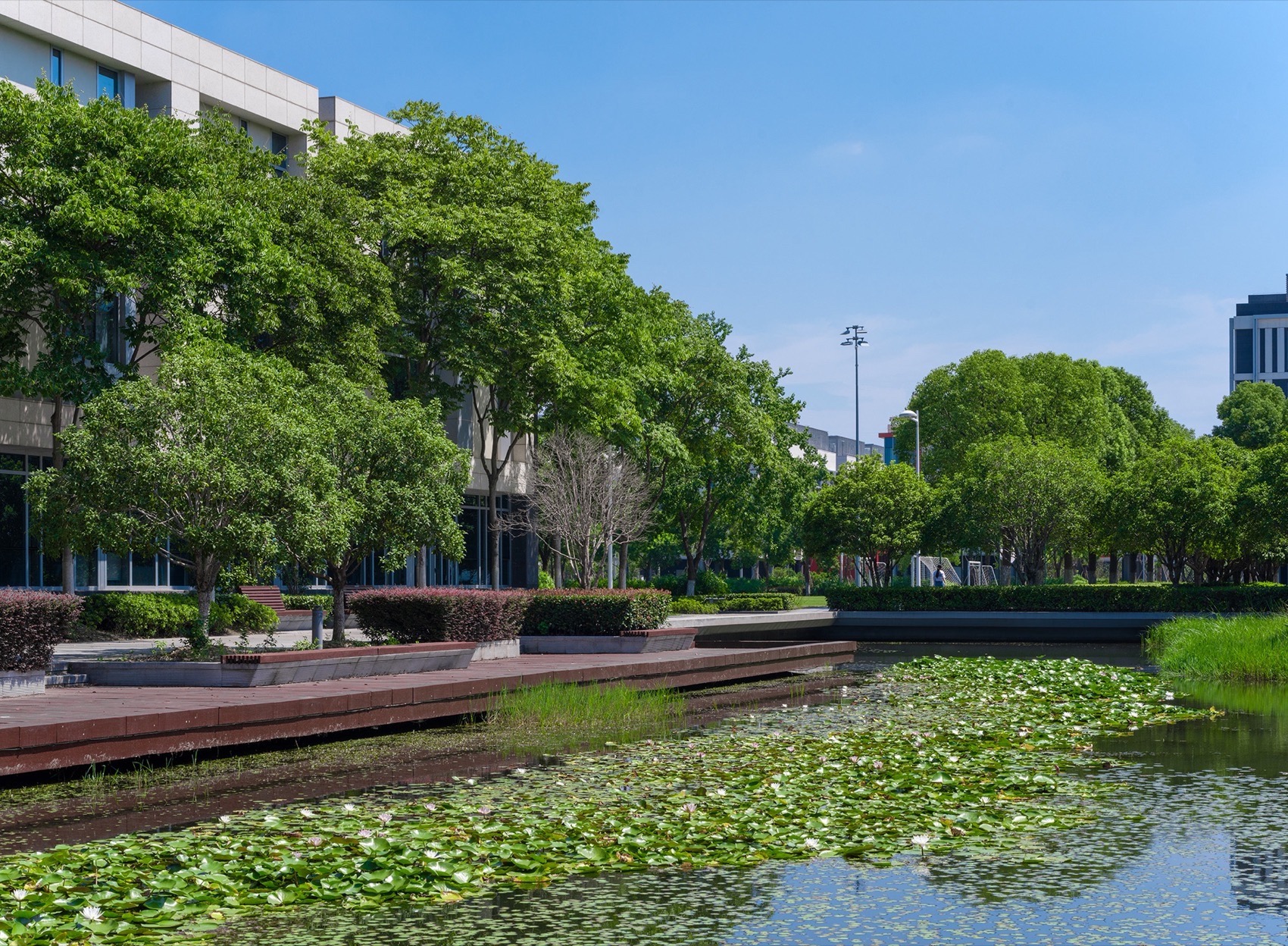 链接时间与空间的流动边界:昆山杜克大学14年生态景观设计丨中国江苏丨Futurepolis未来都市-37