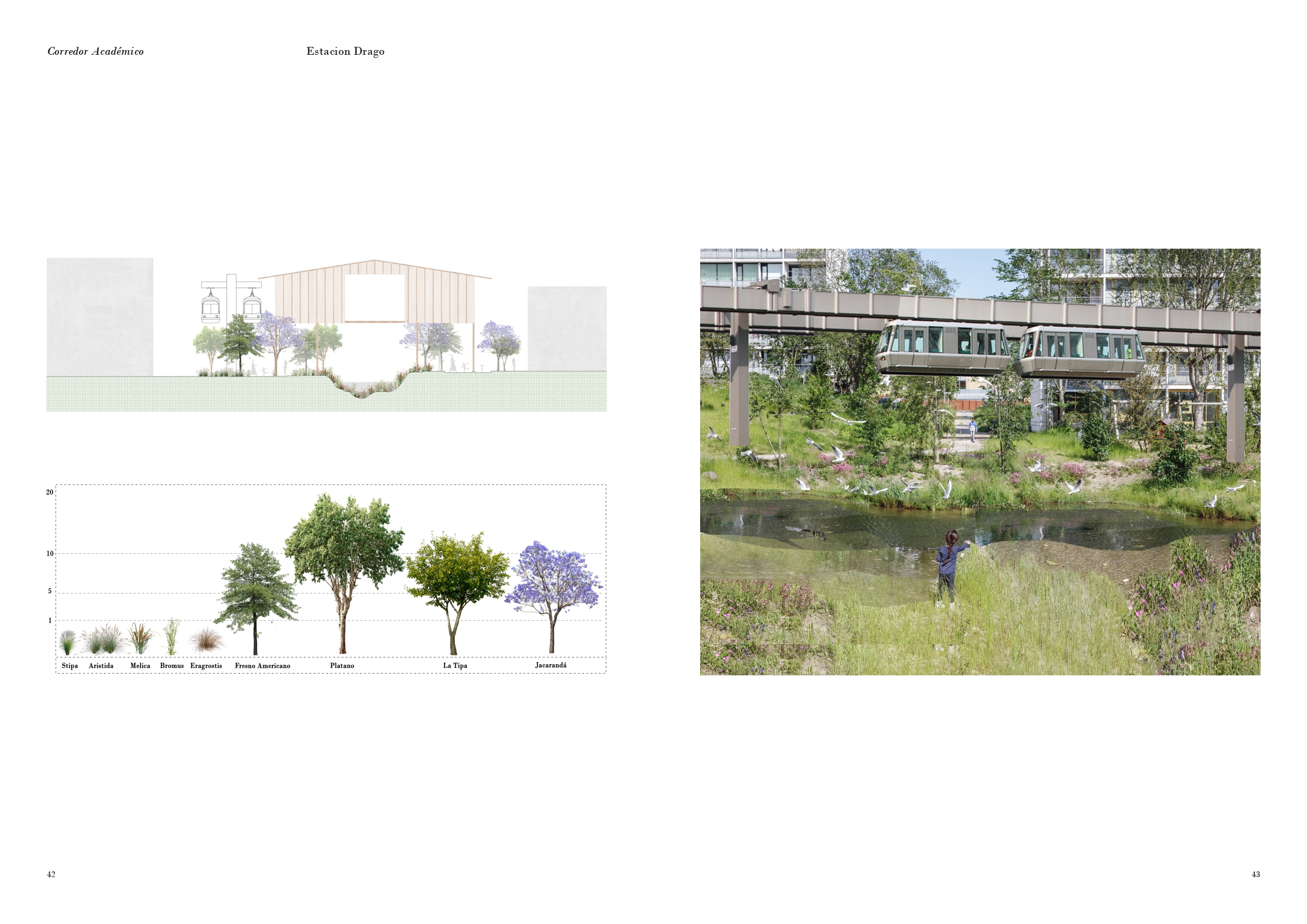 Rio de la Plata | El Nuevo Monumento-20