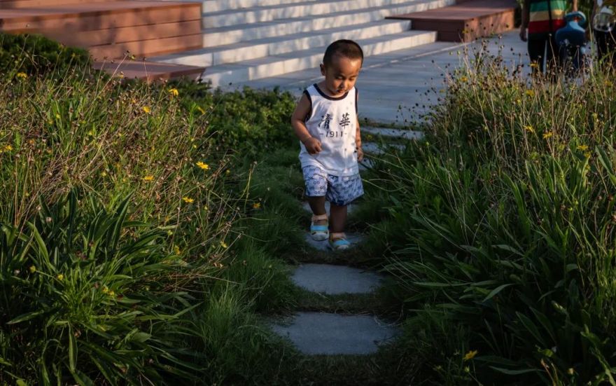 从繁华渔港到生态胜地,重构太湖周边生态面貌 | 太湖流域小溪港鱼咀公园-32