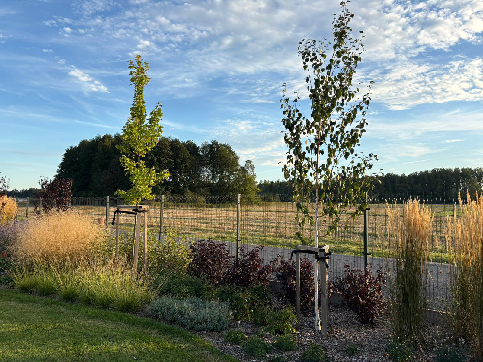 充满轻盈与和谐的花园设计-7