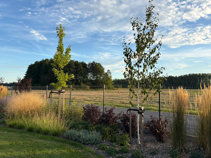 充满轻盈与和谐的花园设计-7