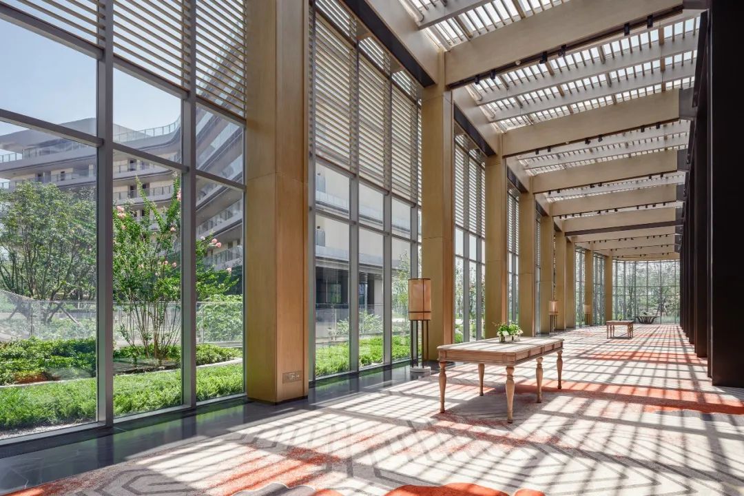 开门纳客丨东进新启航·木棉正当红-30