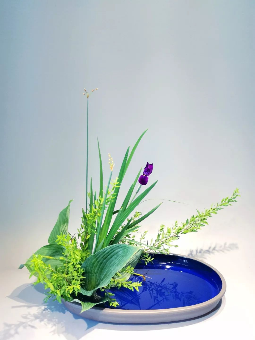 水中翠绿的诗意 | 菖蒲在园林设计中的应用-9