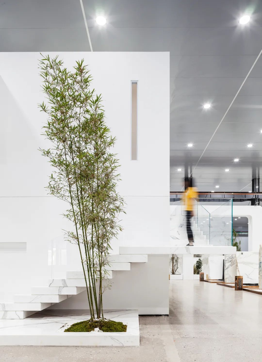 新鹏飞鱼肚白生态艺术厅——自然与功能的和谐统一-27