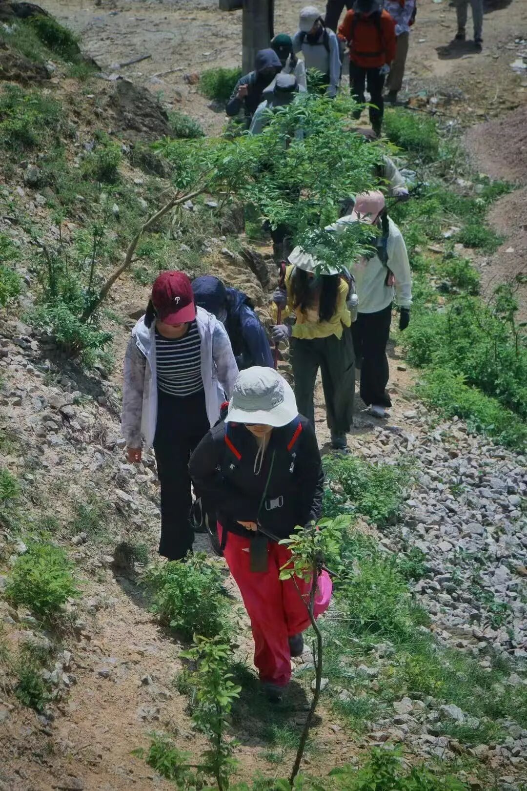 经验谈No.282｜超强执行力学姐，运用“懒”字诀，懒得重复做无用功＋懒得拖延！凭着一股子实干劲拿下UAL！-65