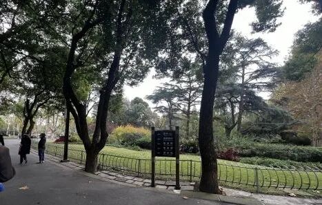 中国园林·理事专栏|“拓”之力量：杨浦公园改造纪实(三)-63