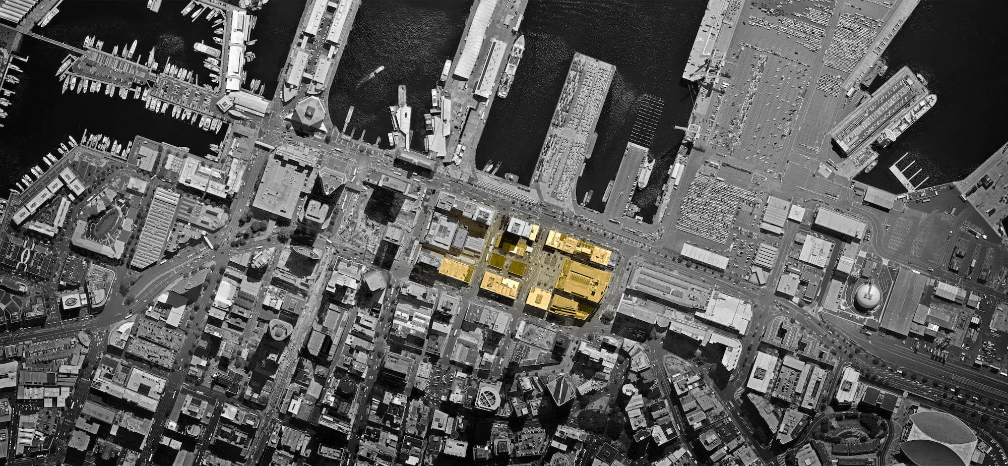 布里托玛尔特丨新西兰奥克兰-7