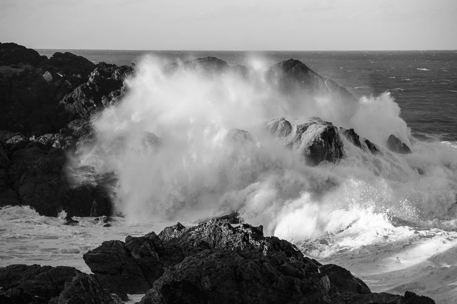 Sea Swell - Biripi Country-5