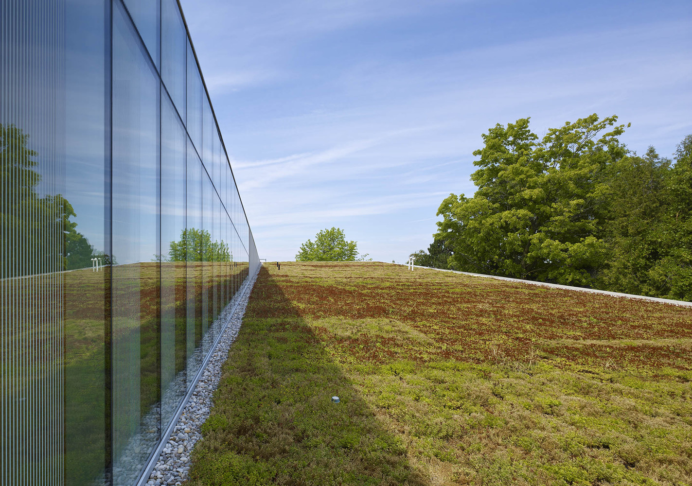 The Waterdown Library and Civic Centre  RDHA-74