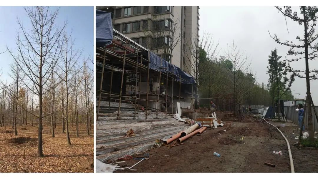 万科 17 英里 | 星空下的乐园生活-105