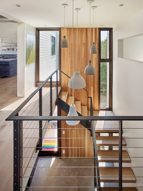 Robert Young Architects 的 Lewes Beach House - 现代简约的海滨住宅设计-10