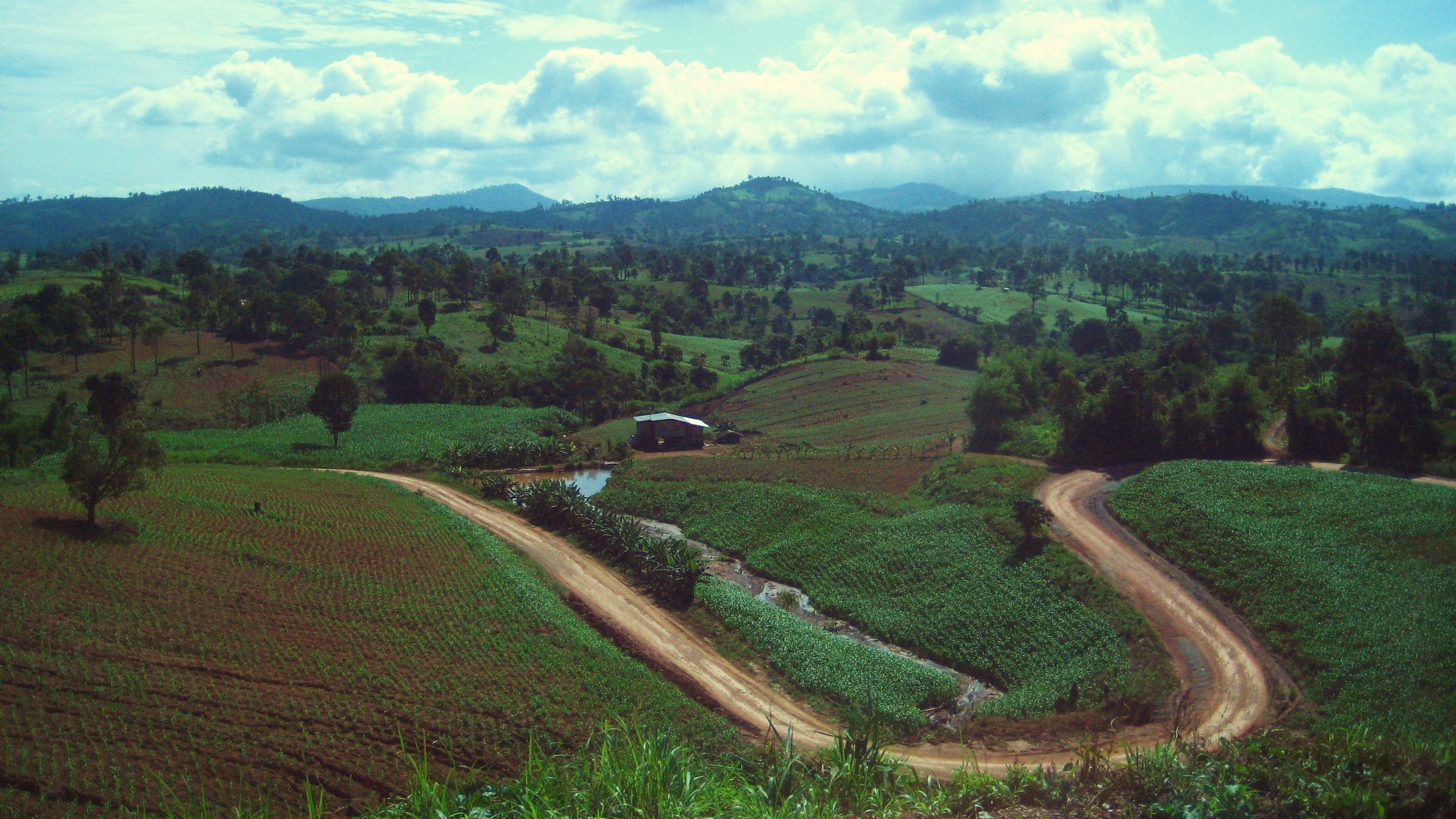 丨泰国丨Eric Solis（USC学生与马来亚大学学生合作）-11