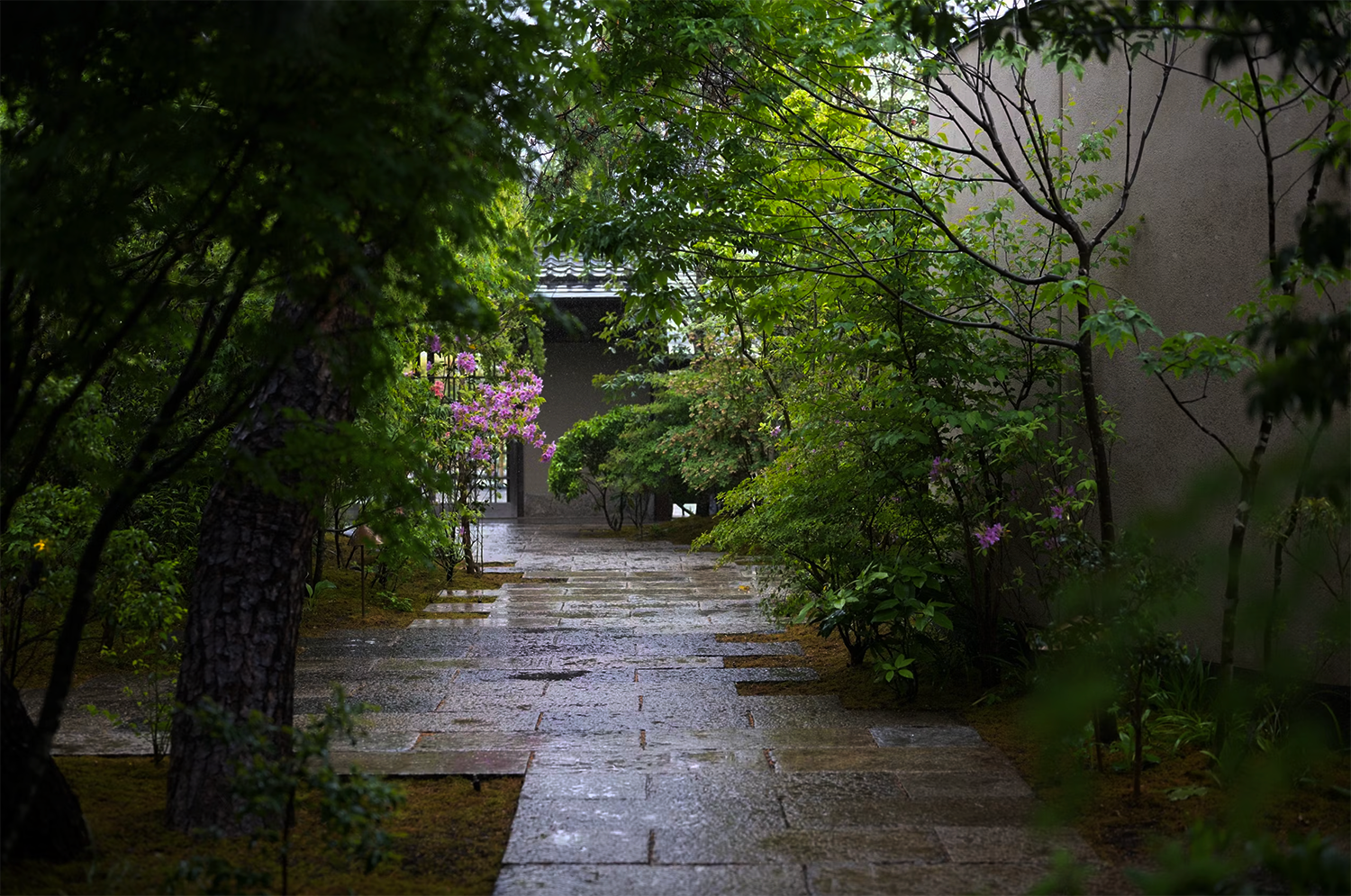 托基托旅馆丨日本东京丨绪方慎一郎,Shinichiro Ogata-17