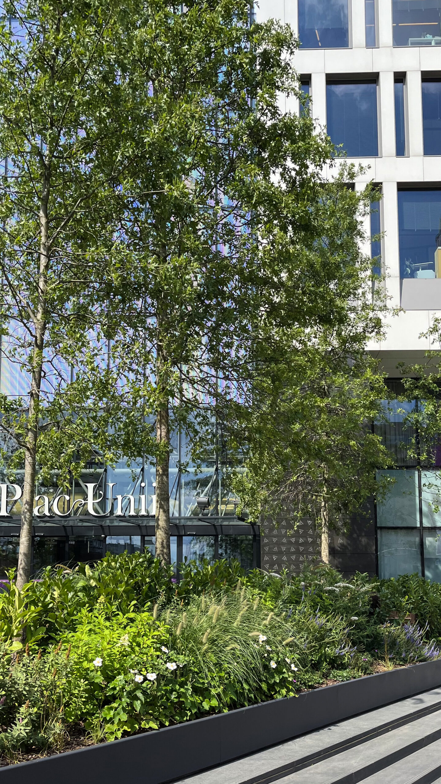 PLAC UNII - KRAJOBRAZ.PL-9