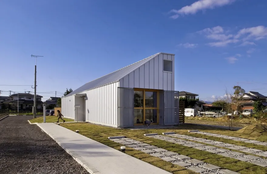 日本稻田中的“狗沙龙”住宅-9