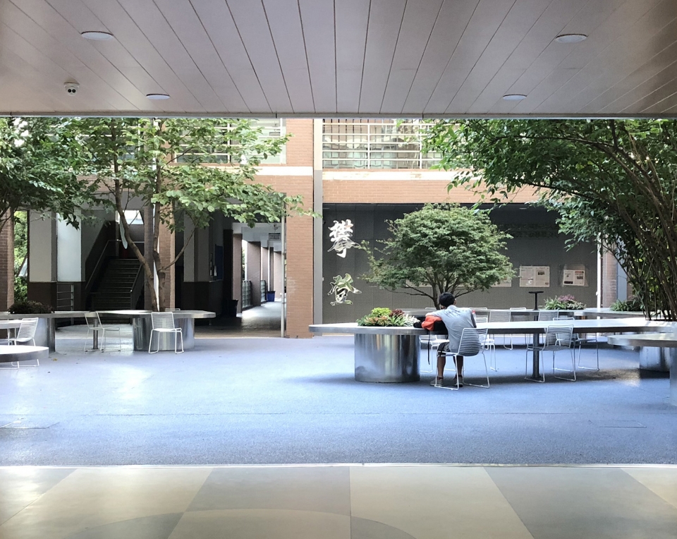 上海市实验学校中心庭院改造丨大观(上海大观景观设计有限公司)-34