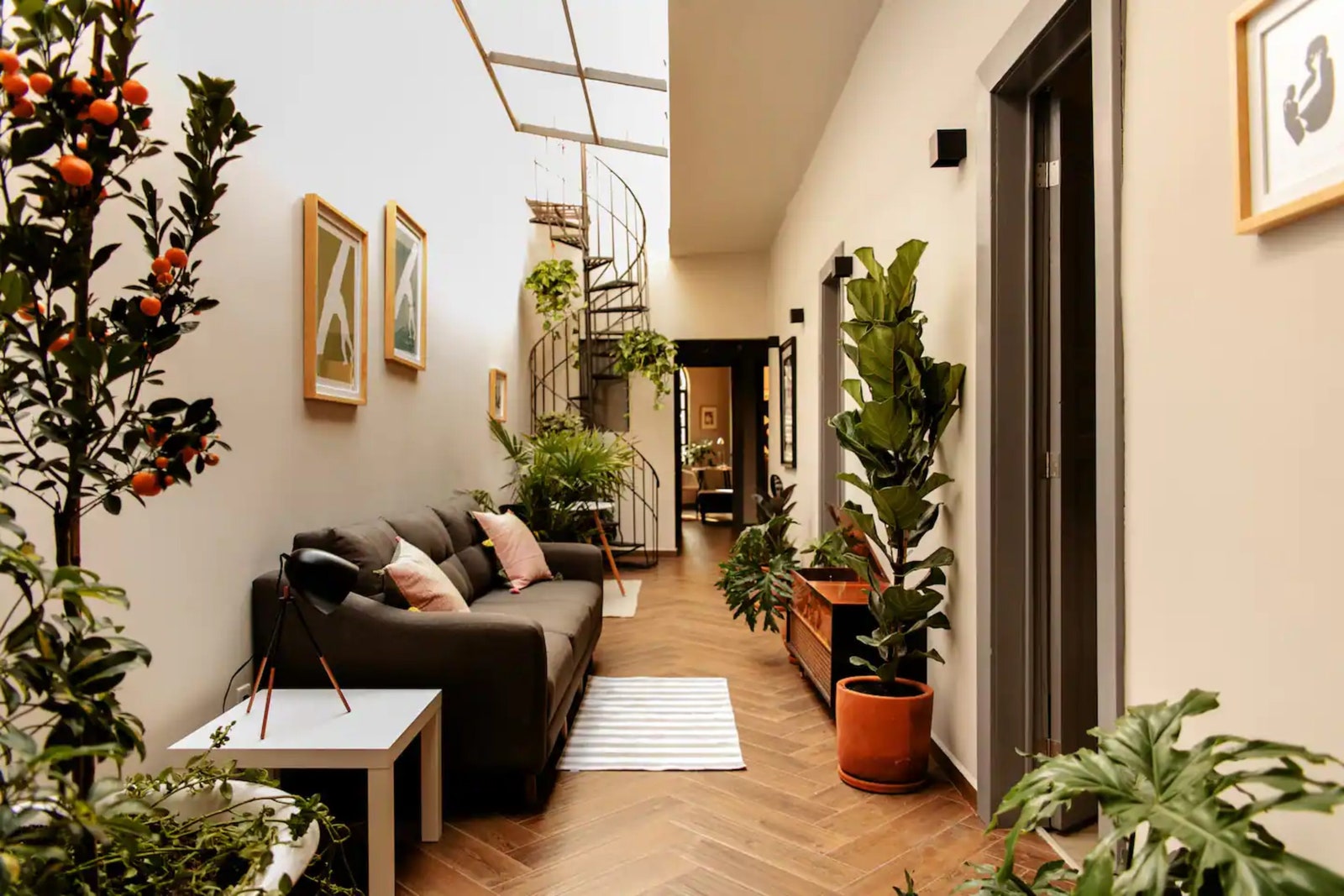 墨西哥风情 | Airbnb 上最美的五座艺术之家-20