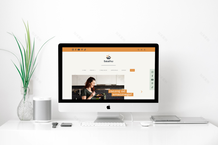 巴渝品牌形象(注:Bashu一般指巴渝地区,若Bashu有特定指代,可根据实际情况调整) -20