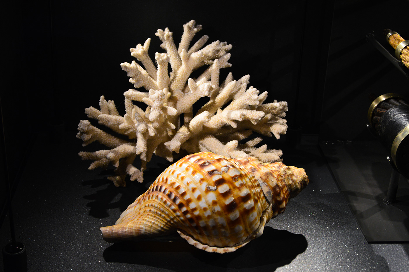 Anastasiya Gushchina丨艺术馆丨National Maritime Museum, London-2