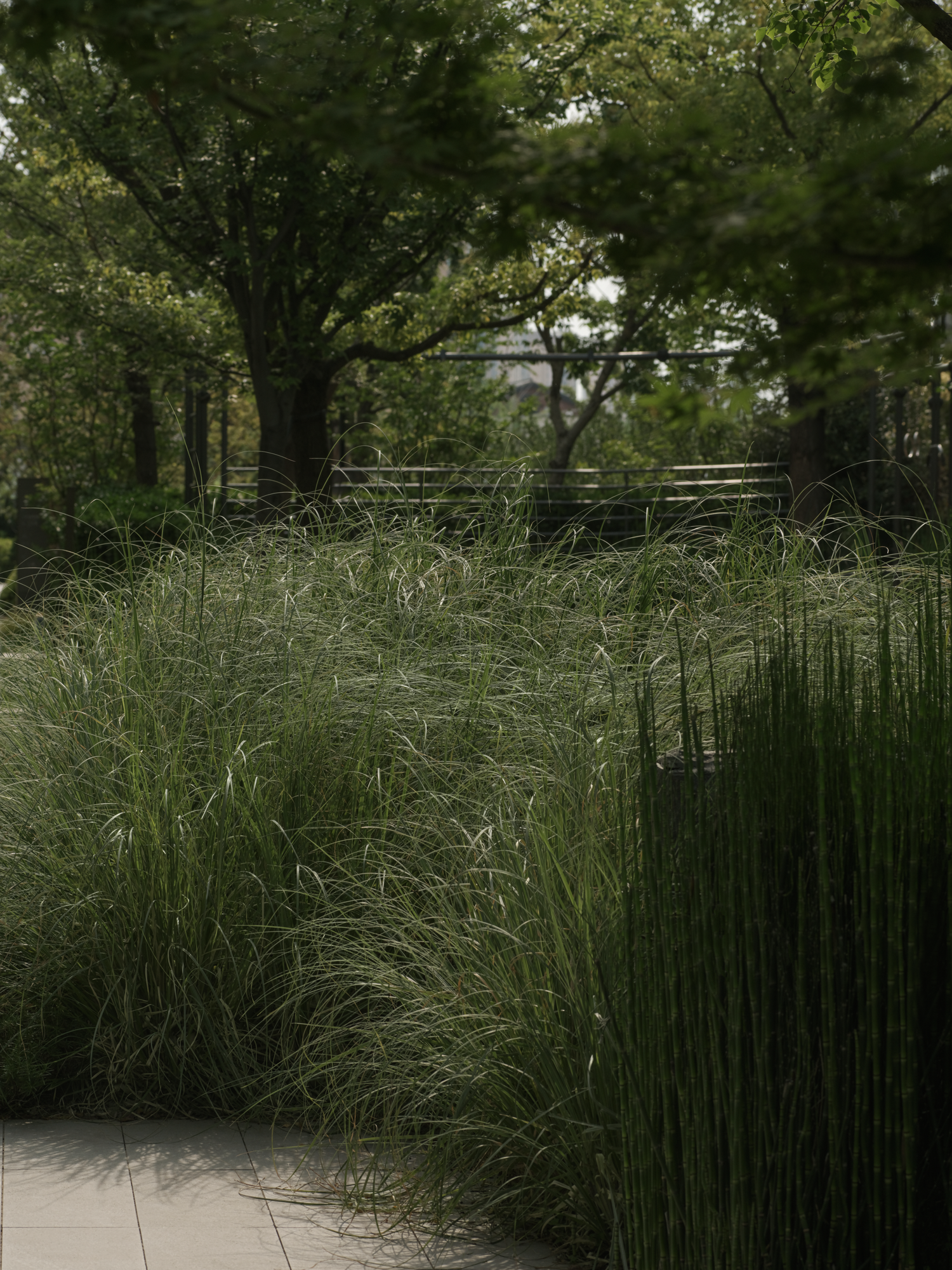 苏州和悦塘前雅院大区丨中国苏州丨MIND迈德景观-151