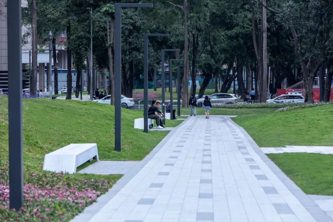 深圳罗湖“三横四纵”绿廊生活-22
