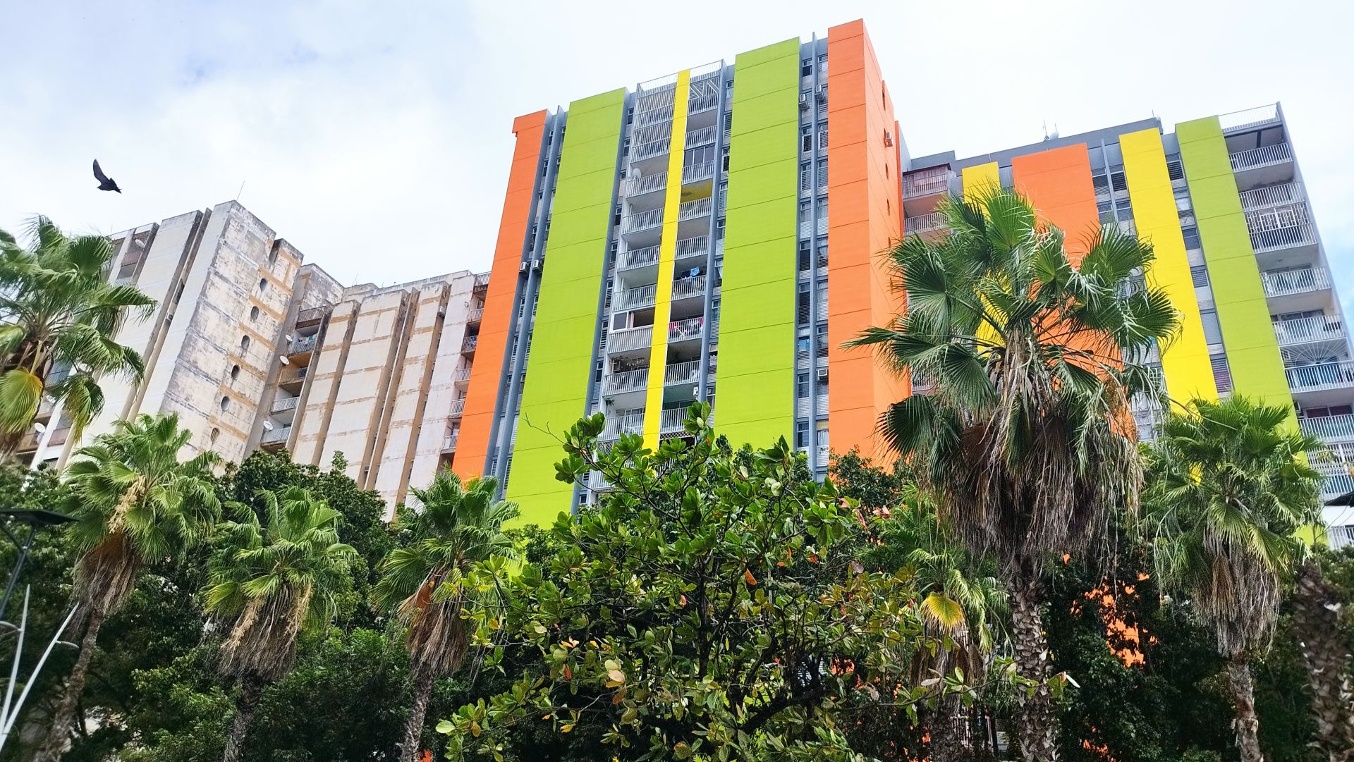 瓜德罗普岛建筑（含市政厅,小学等）丨法国丨雷蒙·克雷沃,雅克·特西耶等-0