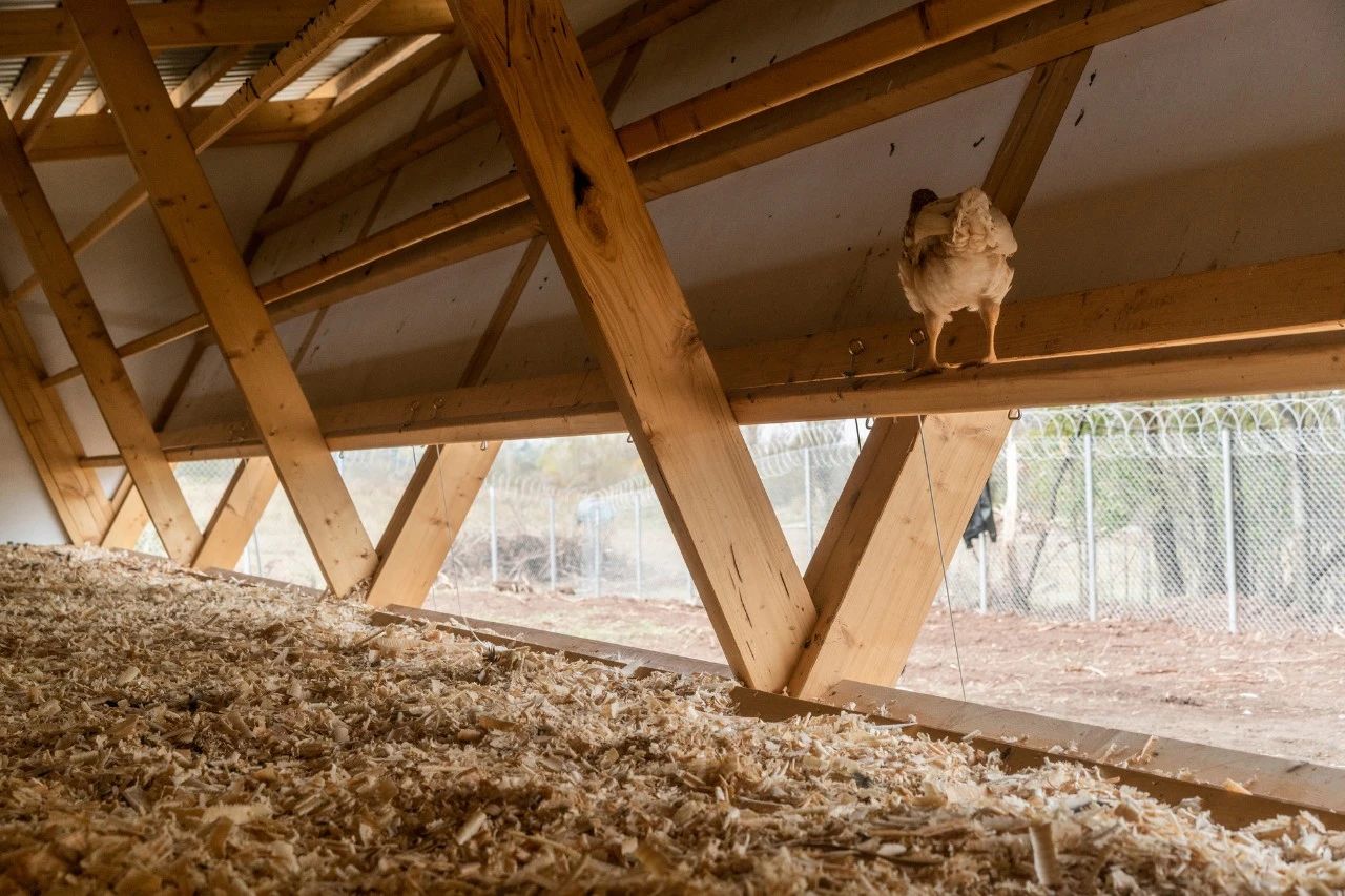 鸡舍丨土耳其埃尔津詹丨SO? Architecture and Ideas-18