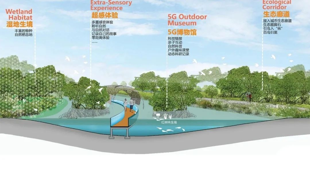 深圳红树林湿地博物馆丨中国深圳丨URBANUS都市实践+中国城市建设研究院无界景观工作室-51