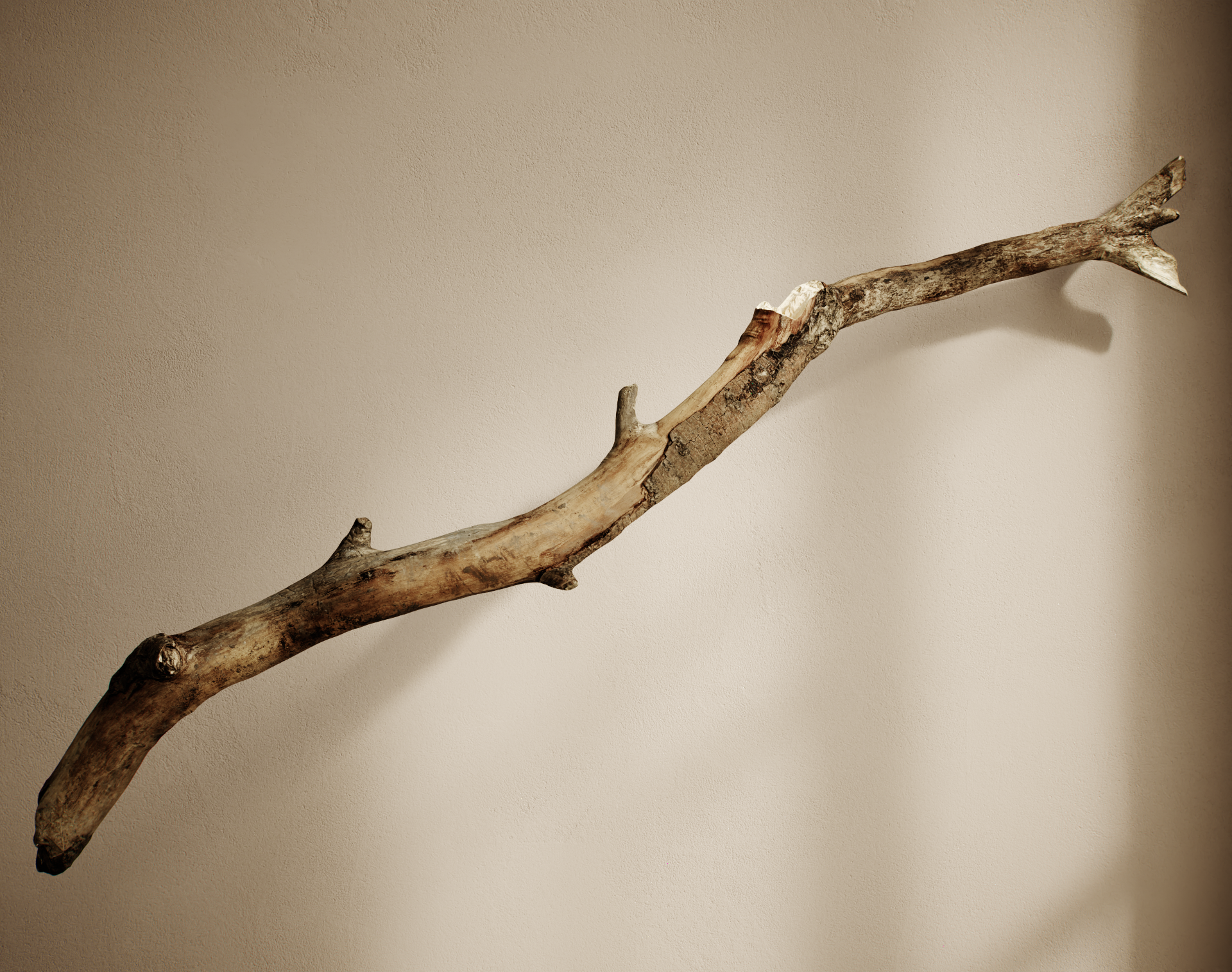 2025年1月全资产

注：Intire可能是拼写错误，推测你想表达的是Entire  -13