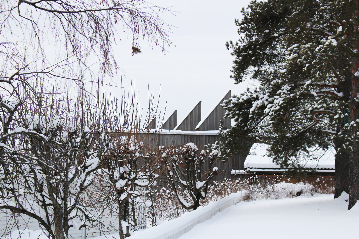 Toneheim Folkehøgskole Student Housing  ASAS arkitektur-59