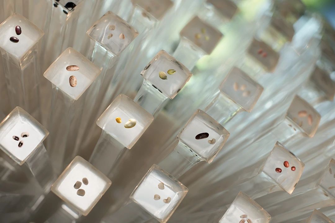 天府农博酒店丨中国成都丨YANG设计集团-24