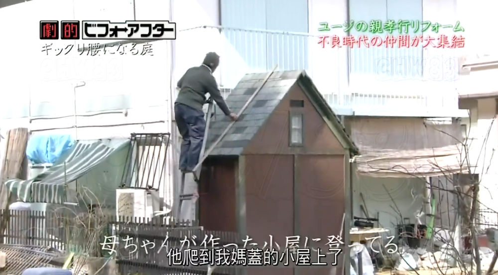 废墟庭院,漏水露台花园改造丨日本大阪丨金井良一-57