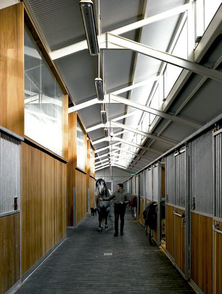 融合环境的西班牙高性能马术中心-27