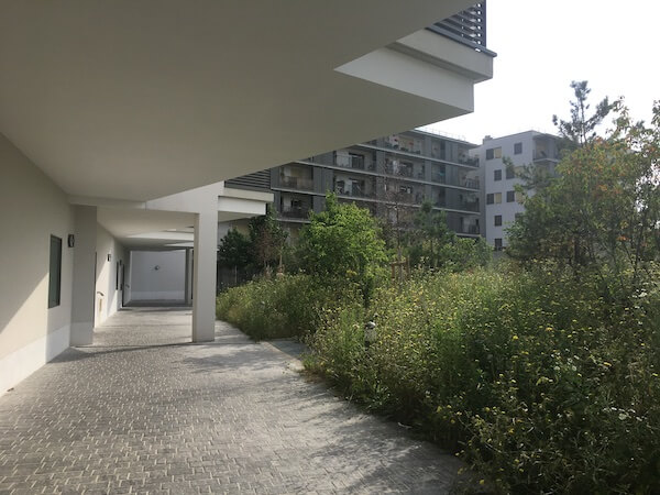 Jardin cœur d'îlot - Brétigny-sur-Orge - Horizons Paysages-26