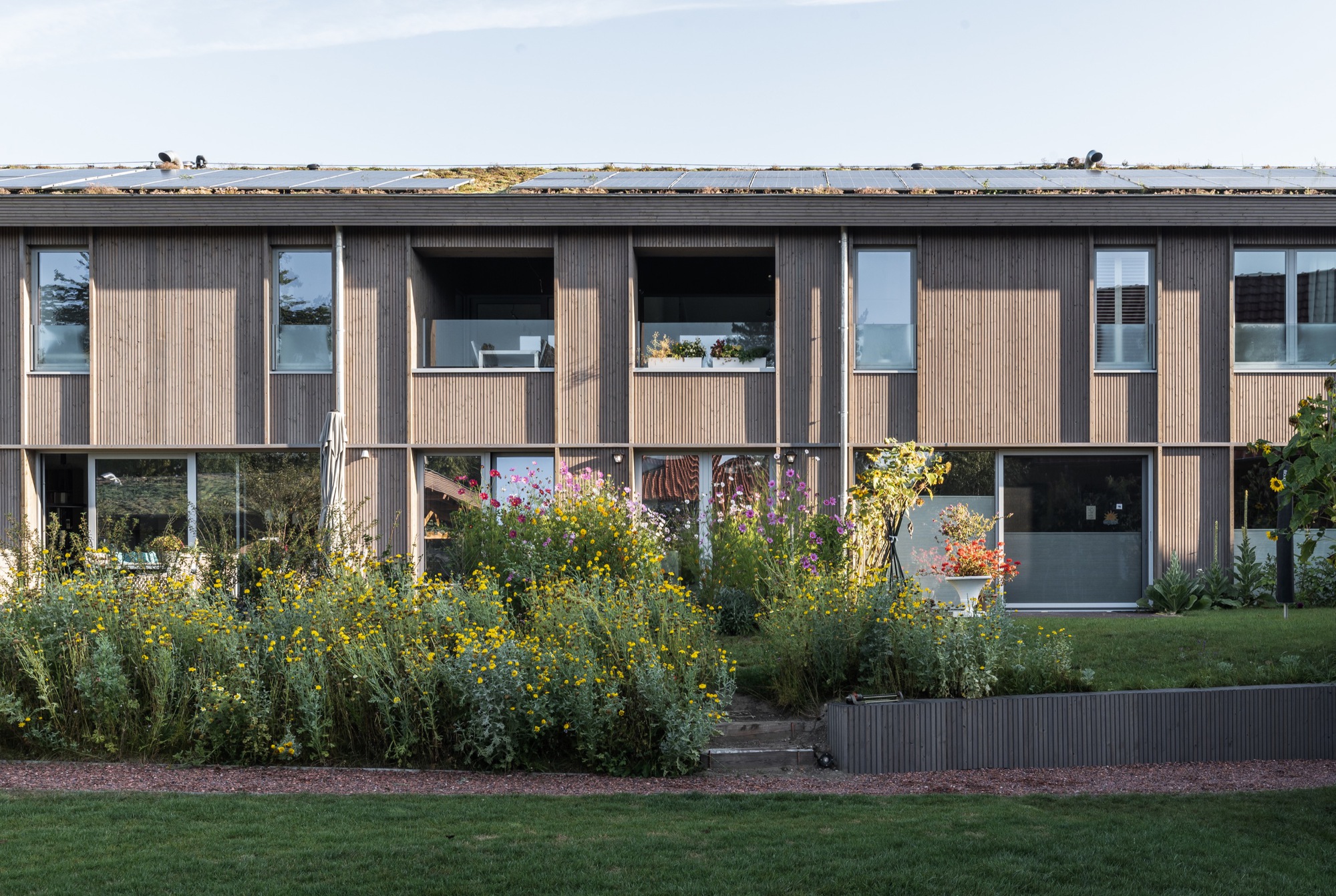 卡丹斯合作居住丨比利时丨Barchitecten-16