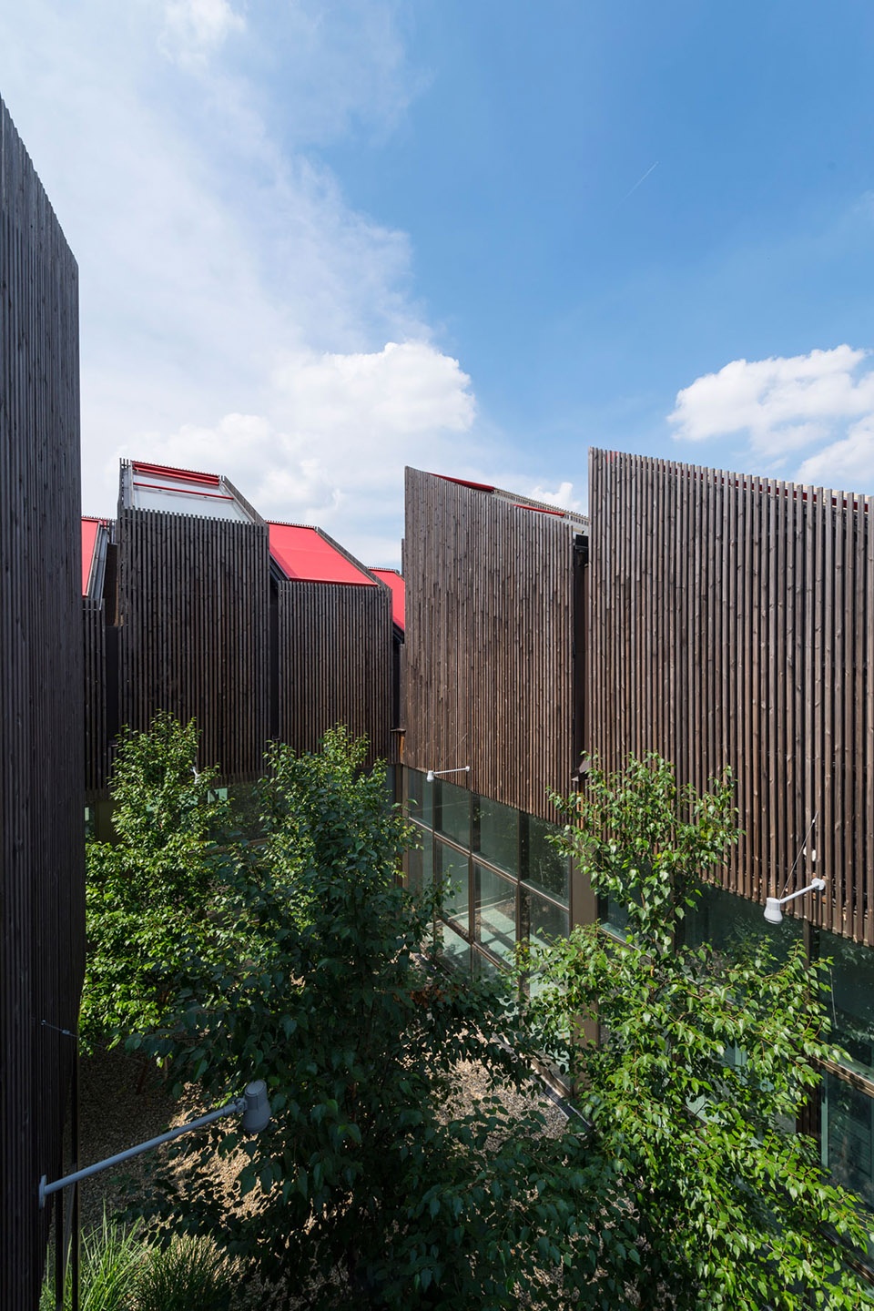 艾米利亚罗马涅大区环境能源局 · 可持续公共建筑的典范-36