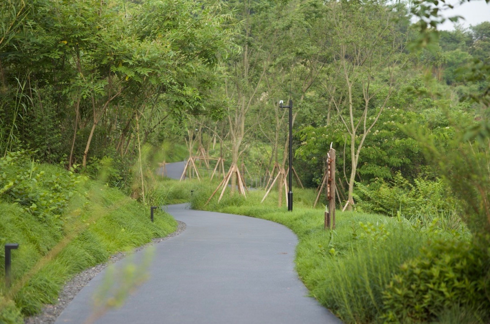 麓野公园丨中国成都丨四川乐道景观设计有限公司-142