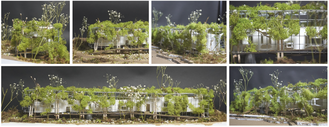 康奈尔研一学长设计的“动物豪宅”！可拎包入住（仅限动物）！反转视角下当动物变成空间的主导者，“悬浮+渗透+支撑”玩转神秘动物世界-120