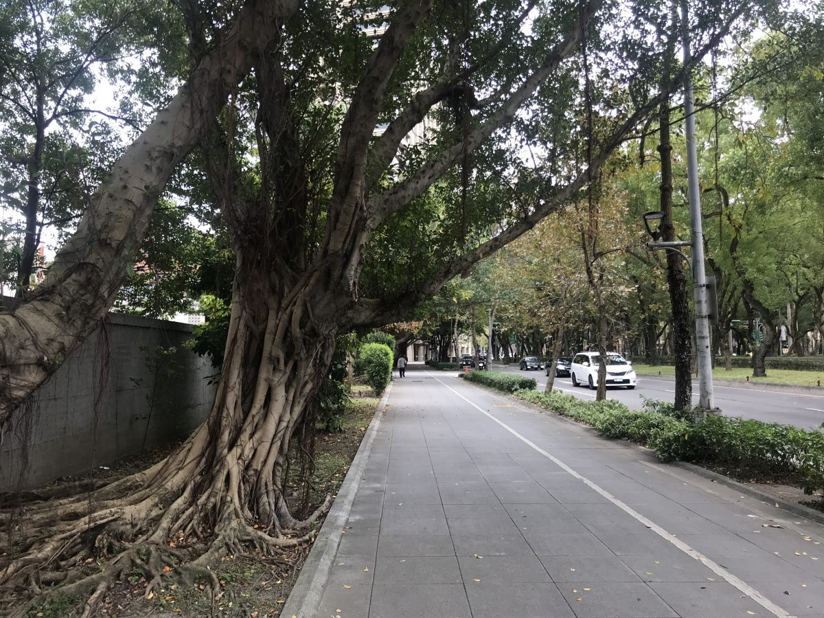 拆除舊時代圍牆看見新的可能，空總臺灣當代文化實驗場C-LAB-都市美學公園。 - WEHOUSE-1
