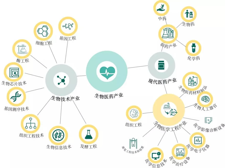 相城高新区产业园区规划（生物医药产业园）丨中国苏州-19